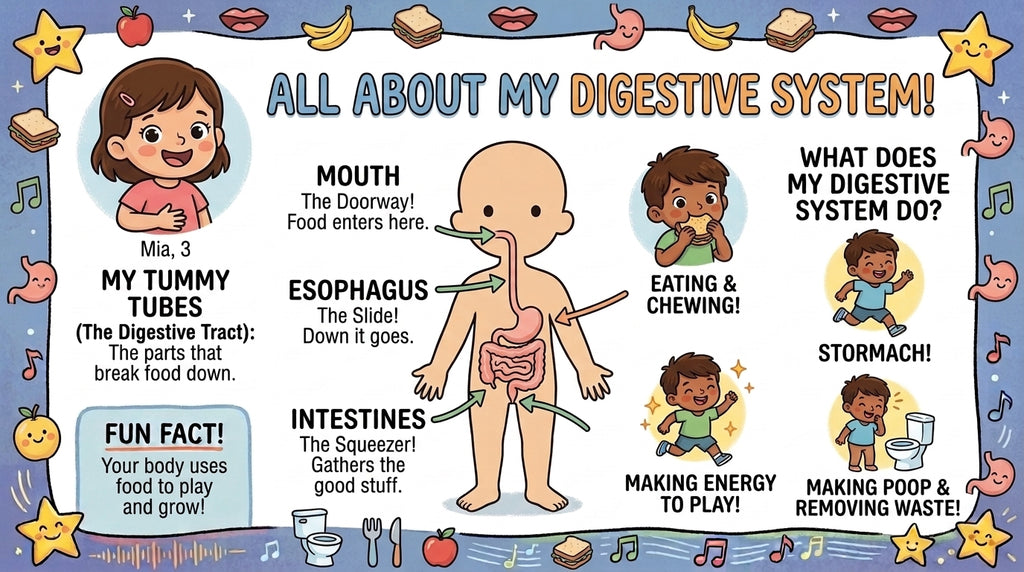Kids Body Book – Learn About the Human Body with Fun Exercises